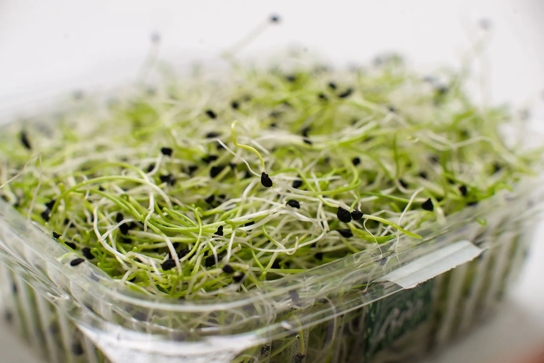 Alfalfa herb, the second ingredient by weight in the blend